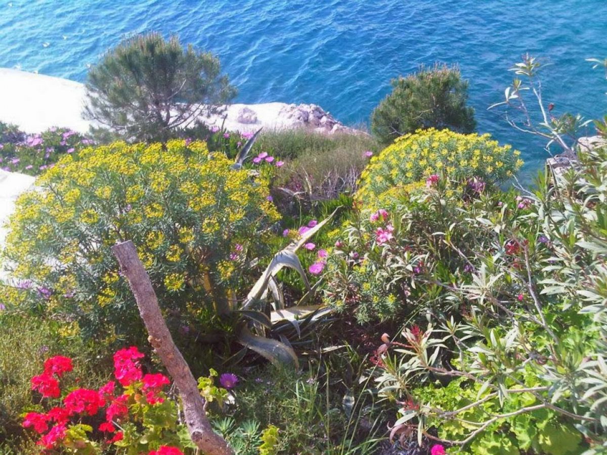 imagini hotel PATARA PRINCE RESORT